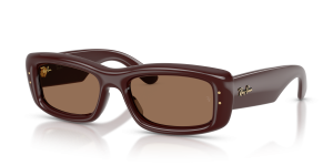 แว่นกันแดด Rayban RB4944-687773 Transparent Brown Dark Brown