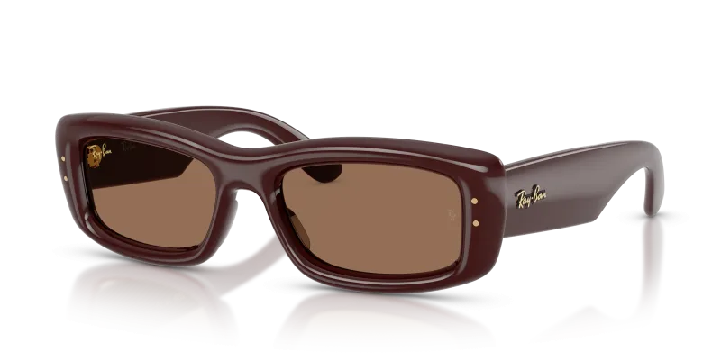 แว่นกันแดด Rayban RB4944-687773 Transparent Brown Dark Brown แว่นกันแดด Rayban RB4944-687773 มุมเฉียง สีน้ำตาลโปร่งใส สำหรับผู้ใช้ทุกเพศ