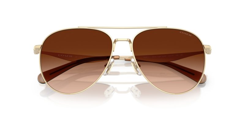 Coach CW193 HC7169-900574 แว่นกันแดด - Folded View