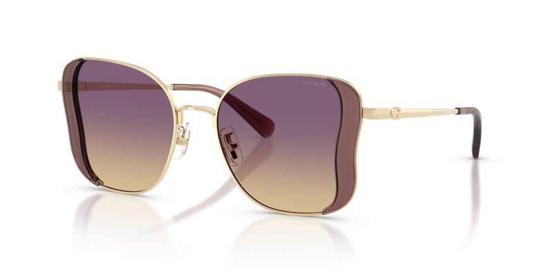Coach CDP51 HC7188-900570 แว่นกันแดด - Quarter View