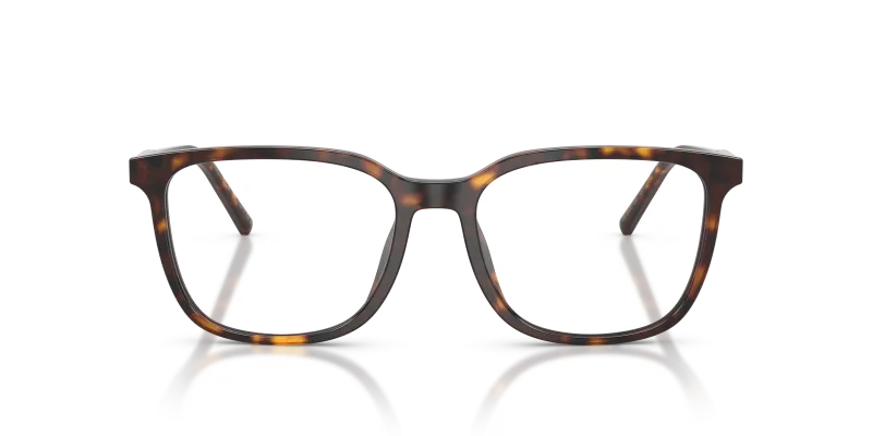 Dolce & Gabbana DG3445 502 ด้านหน้า