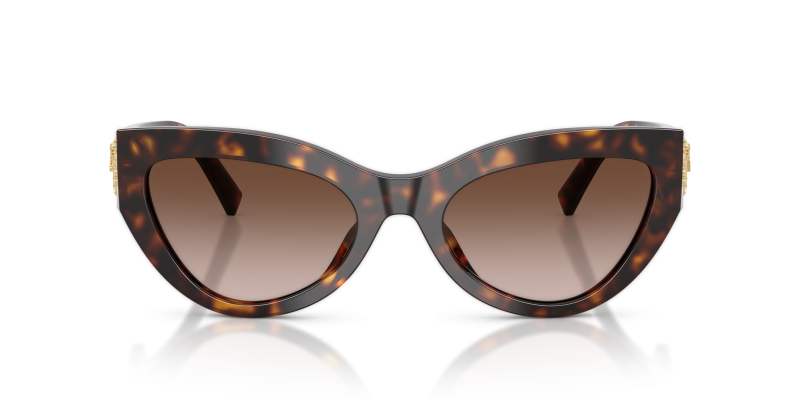 Dolce & Gabbana DG4536 502/13 ด้านหน้า