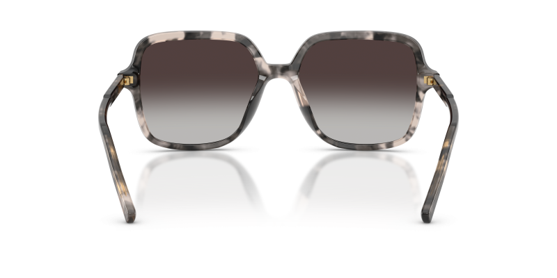 Dolce & Gabbana DG4539 31728G ขาแว่นด้านใน