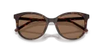 แว่นกันแดด Dolce & Gabbana DG4540-502/13 Havana Dolce & Gabbana DG4540 502/13 close-up ด้านหน้า