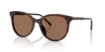 แว่นกันแดด Dolce & Gabbana DG4540-502/13 Havana Dolce & Gabbana DG4540 502/13 กรอบลายฮาวานา ทรงกลม