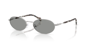 Emporio Armani EA2175 3015/1 แว่นกันแดดเงินด้าน สำหรับผู้ชาย