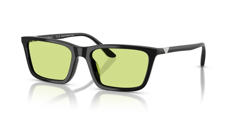 Emporio Armani EA4239U 5017/2 แว่นกันแดดสีดำประกาย สำหรับผู้หญิง