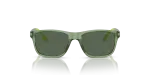 แว่นกันแดด Emporio Armani EK4002F-535971 Shiny Transparent Green Dark Green Emporio Armani EK4002F 535971 ด้านหน้า