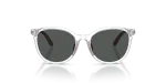 แว่นกันแดด Emporio Armani EK4007U-589387 Shiny Crystal Dark Grey Emporio Armani EK4007U 589387 ด้านหน้า