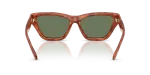 แว่นกันแดด Coach HC8449U-577482 Caramel Tortoise Green Coach HC8449U-577482 ขาแว่นด้านใน