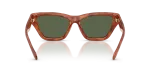 แว่นกันแดด Coach HC8449U-57749A Caramel Tortoise Dark Green Polarized Coach HC8449U 57749A ขาแว่นด้านใน
