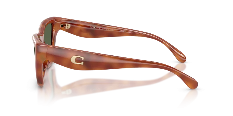 แว่นกันแดด Coach HC8449U 57749A มุมข้าง โลโก้ Signature C บนขาแว่น