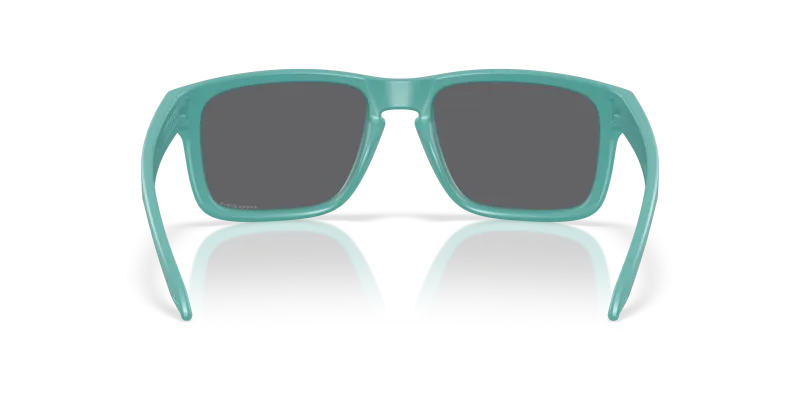 Oakley Holbrook A OO9244 80 ขาแว่นด้านใน