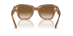 Rayban State Street RB2186 140351 ขาแว่นด้านใน
