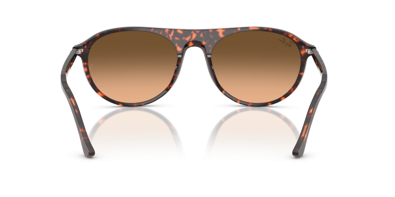 Rayban RB2215F 14293B ขาแว่นด้านใน