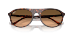 แว่นกันแดด Rayban RB2215F-14293B Havana Red Pink Gradient Rayban RB2215F 14293B close-up เลนส์ไล่ระดับ