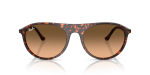 แว่นกันแดด Rayban RB2215F-14293B Havana Red Pink Gradient Rayban RB2215F 14293B แว่นกันแดดด้านหน้า