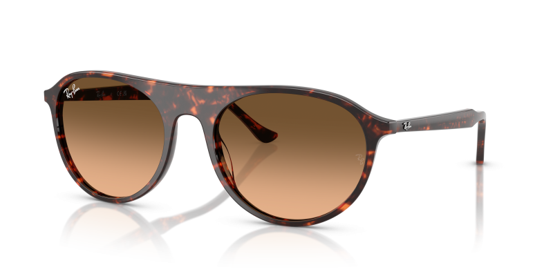แว่นกันแดด Rayban RB2215F-14293B Havana Red Pink Gradient Rayban RB2215F 14293B กรอบลายฮาวานาแดง เลนส์ไล่ระดับดำสู่ชมพู
