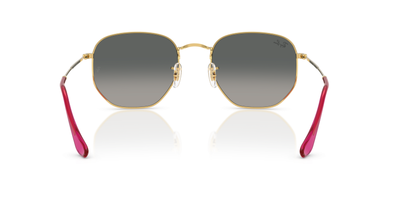 Rayban Hexagonal RB3548N 001 71 ขาแว่นด้านใน