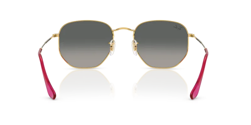 Rayban Hexagonal RB3548N 001 71 ขาแว่นด้านใน