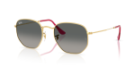 Rayban Hexagonal RB3548N 001 71 แว่นกันแดดอะริสต้า Unisex