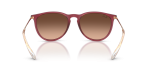 Rayban Erika RB4171F 6815A5 ขาแว่นด้านใน