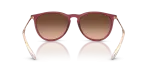 Rayban Erika RB4171F 6815A5 ขาแว่นด้านใน