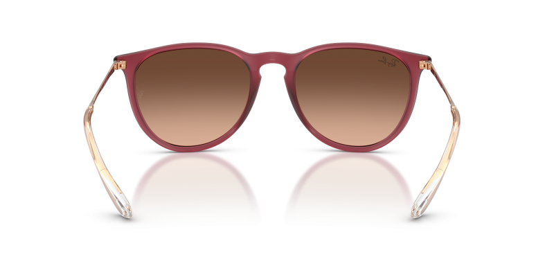 Rayban Erika RB4171F 6815A5 ขาแว่นด้านใน