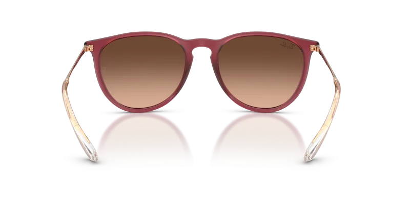 Rayban Erika RB4171F 6815A5 ขาแว่นด้านใน