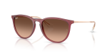 Rayban Erika RB4171F 6815A5 แว่นกันแดดยางม่วง