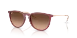 Rayban Erika RB4171F 6815A5 แว่นกันแดดยางม่วง