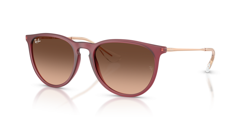 Rayban Erika RB4171F 6815A5 แว่นกันแดดยางม่วง