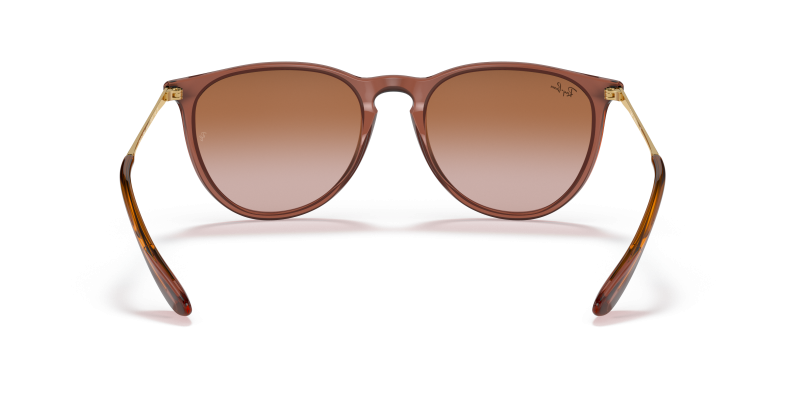 Rayban Erika RB4171 659013 ขาแว่นด้านใน