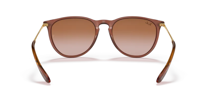 Rayban Erika RB4171 659013 ขาแว่นด้านใน