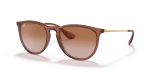 Rayban Erika RB4171 659013 กรอบน้ำตาลอ่อนโปร่งใส เลนส์ไล่ระดับน้ำตาล