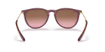Rayban Erika RB4171 659114 ขาแว่นด้านใน