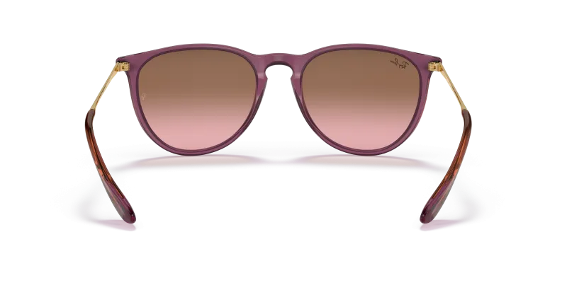 Rayban Erika RB4171 659114 ขาแว่นด้านใน