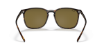 แว่นกันแดด Rayban RB4387F-902/73 Tortoise Dark Brown Rayban RB4387F 902 73 ขาแว่นด้านใน