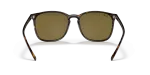 Rayban RB4387F 902 73 ขาแว่นด้านใน