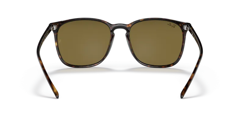 Rayban RB4387F 902 73 ขาแว่นด้านใน