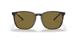 แว่นกันแดด Rayban RB4387F-902/73 Tortoise Dark Brown Rayban RB4387F 902 73 แว่นกันแดดด้านหน้า