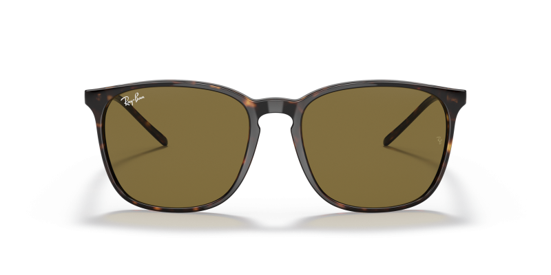 Rayban RB4387F 902 73 แว่นกันแดดด้านหน้า