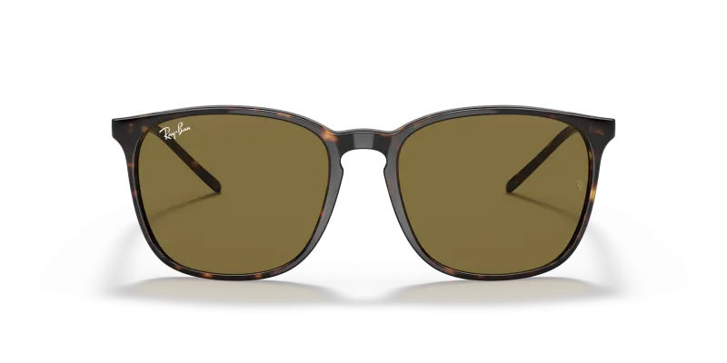 Rayban RB4387F 902 73 แว่นกันแดดด้านหน้า