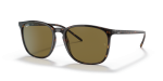 แว่นกันแดด Rayban RB4387F-902/73 Tortoise Dark Brown Rayban RB4387F 902 73 กรอบลายเต่าน้ำตาลเข้ม เลนส์น้ำตาล
