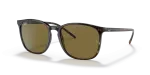 Rayban RB4387F 902 73 กรอบลายเต่าน้ำตาลเข้ม เลนส์น้ำตาล