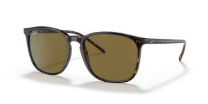 Rayban RB4387F 902 73 กรอบลายเต่าน้ำตาลเข้ม เลนส์น้ำตาล