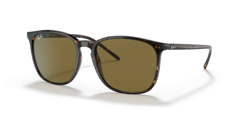 Rayban RB4387F 902 73 กรอบลายเต่าน้ำตาลเข้ม เลนส์น้ำตาล