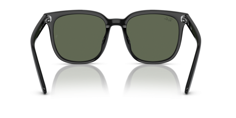 Rayban RB4401D 601 71 ขาแว่นด้านใน