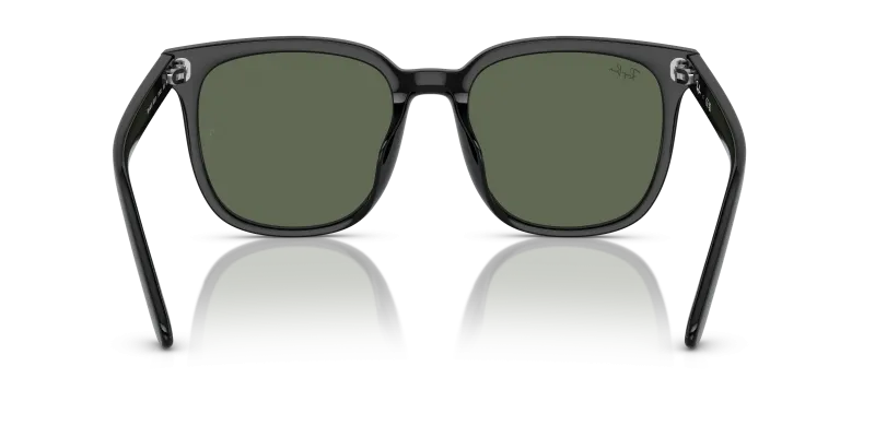 Rayban RB4401D 601 71 ขาแว่นด้านใน