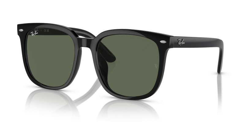 Rayban RB4401D 601 71 แว่นกันแดดดำ Unisex